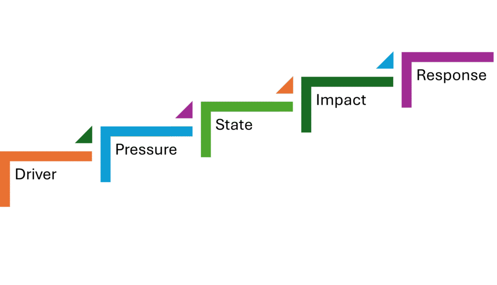 Step up DPSIR framework